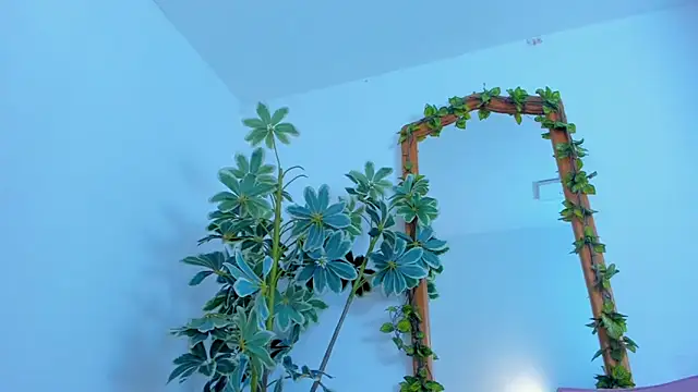 NinaWong online show from February 2026 07:02:02 PM