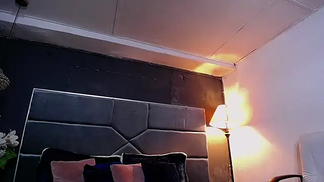 teddyfit19cm online show from October 2025 01:21:02 PM