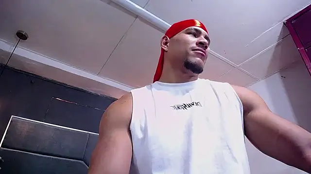 teddyfit19cm online show from November 2025 03:11:02 PM