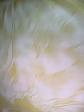 Snapshot of Dhiyapink chatting on December 2024 06:41:01 AM Dhiyapink online show from December 2024 06:41:01 AM