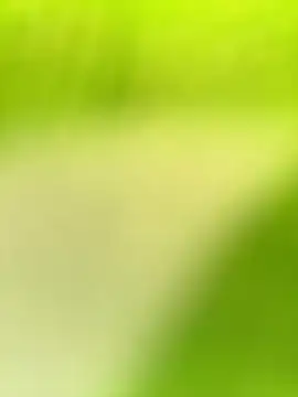 Snapshot of Dhiyapink chatting on December 2024 03:58:01 AM Dhiyapink online show from December 2024 03:58:01 AM