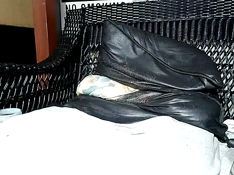 HungHawaiian808xh online show from March 2025 08:34:01 AM