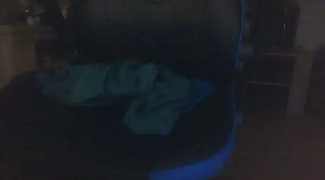 ViaPanties4you online show from February 2025 11:30:02 PM