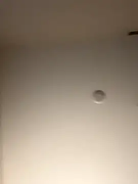 Snapshot of DancingLemonade chatting on November 2025 11:49:02 AM DancingLemonade online show from November 2025 11:49:02 AM