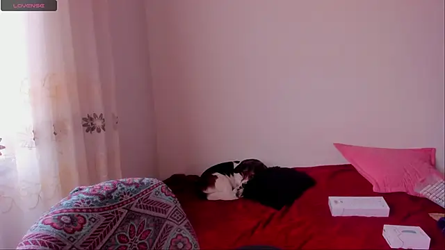 Snapshot of aluna_0310 chatting on December 2024 06:46:02 PM aluna 0310 online show from December 2024 06:46:02 PM