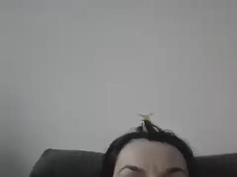 Snapshot of FallenDevil chatting on March 2025 04:00:02 PM FallenDevil online show from March 2025 04:00:02 PM