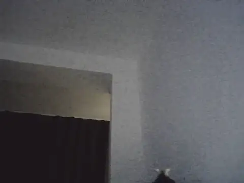 FallenDevil online show from March 2026 07:09:01 PM