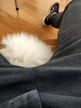 papiculo86 online show from February 2025 09:08:02 AM