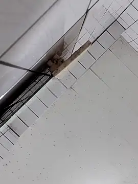 cindy01113520 online show from October 2025 02:57:01 PM