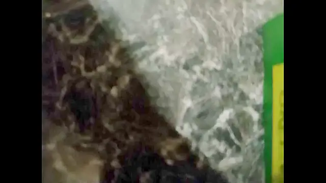 hairyuncut00 online show from January 2025 12:43:01 AM