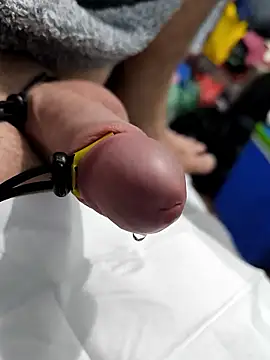 Norbi0803 online show from January 2026 09:38:02 PM