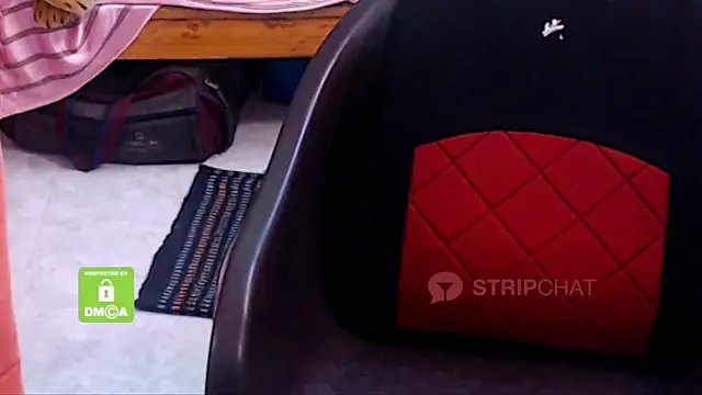 Novapol online show from January 2025 05:51:02 PM