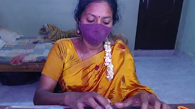 Novapol online show from July 2026 01:48:01 PM