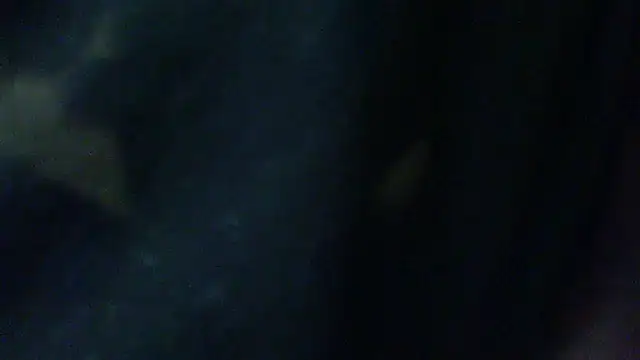 Snapshot of Billywax chatting on February 2026 09:30:01 AM Billywax online show from February 2026 09:30:01 AM