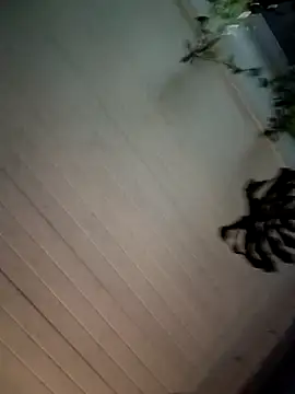 Nikkierosee online show from December 2024 10:56:02 AM