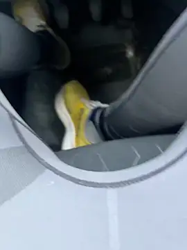 Mark3706 online show from December 2024 01:02:02 PM