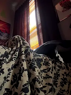 spideyzaddy online show from November 2025 04:41:02 PM