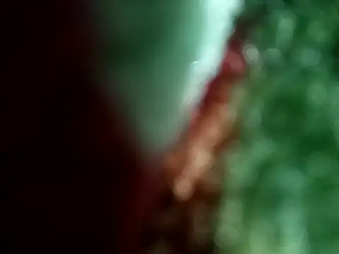 Rittik00 online show from January 2026 02:33:02 PM