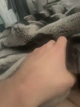 Snapshot of Furdale chatting on December 2024 11:52:02 AM Furdale online show from December 2024 11:52:02 AM