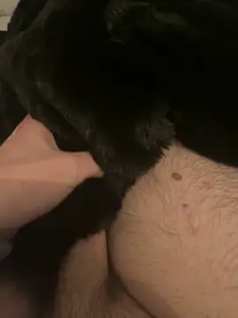 Snapshot of Furdale chatting on December 2024 05:44:01 PM Furdale online show from December 2024 05:44:01 PM