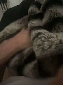 Snapshot of Furdale chatting on December 2024 12:43:02 PM Furdale online show from December 2024 12:43:02 PM