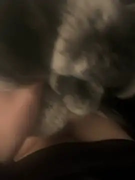 Snapshot of Furdale chatting on December 2024 04:00:01 PM Furdale online show from December 2024 04:00:01 PM