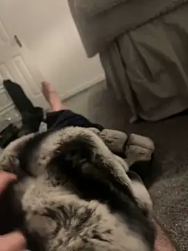 Snapshot of Furdale chatting on January 2025 04:55:01 PM Furdale online show from January 2025 04:55:01 PM