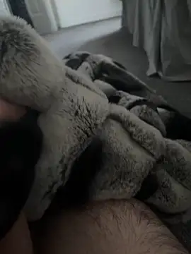 Snapshot of Furdale chatting on January 2025 10:43:01 AM Furdale online show from January 2025 10:43:01 AM