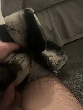 Snapshot of Furdale chatting on January 2025 05:20:01 PM Furdale online show from January 2025 05:20:01 PM