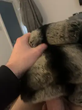 Snapshot of Furdale chatting on February 2025 02:54:01 PM Furdale online show from February 2025 02:54:01 PM