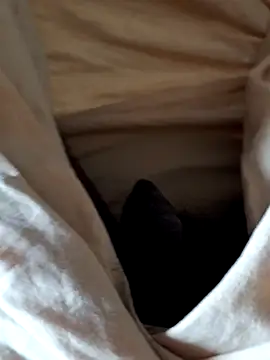 malluflash online show from February 2026 07:58:02 AM