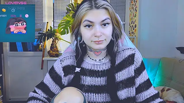 jelya sg online show from December 2024 12:49:01 PM