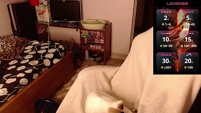 Apolo S online show from February 2026 08:33:01 AM