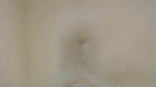 AlexNudo online show from January 2025 04:45:01 PM