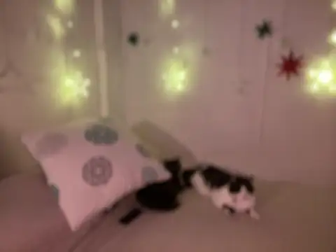 Im sophiie online show from December 2024 08:45:02 AM