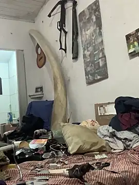 raphadoors19 online show from December 2025 04:52:01 AM