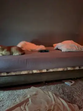 Bastet online show from January 2025 07:34:01 PM