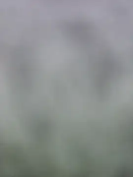 fuckineverett online show from March 2025 03:48:02 PM