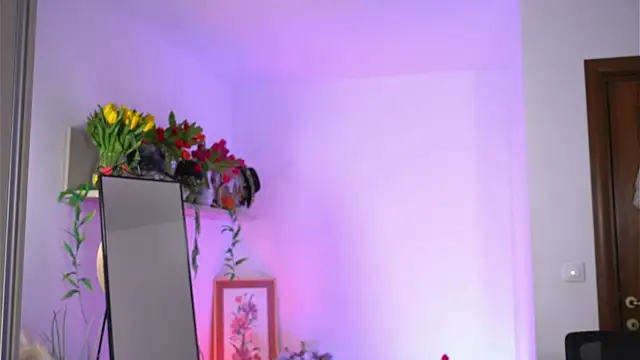 Amaliamour online show from February 2025 02:26:01 AM