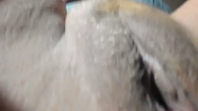 Snapshot of FrumCake chatting on December 2024 01:11:02 AM FrumCake online show from December 2024 01:11:02 AM