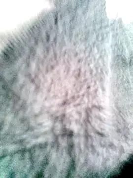 Snapshot of __valentina18 chatting on March 2025 07:46:01 PM   valentina18 online show from March 2025 07:46:01 PM