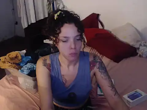 deftoolceles online show from February 2026 01:59:02 AM