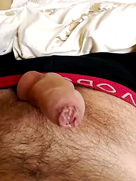 Snapshot of Robertvirt chatting on November 2025 10:37:02 AM Robertvirt online show from November 2025 10:37:02 AM