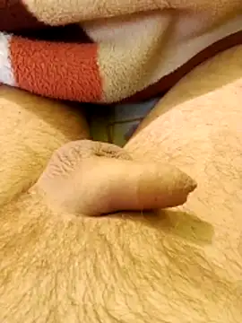 Snapshot of Robertvirt chatting on December 2025 07:49:02 AM Robertvirt online show from December 2025 07:49:02 AM