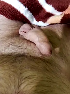 Snapshot of Robertvirt chatting on February 2026 11:06:02 AM Robertvirt online show from February 2026 11:06:02 AM