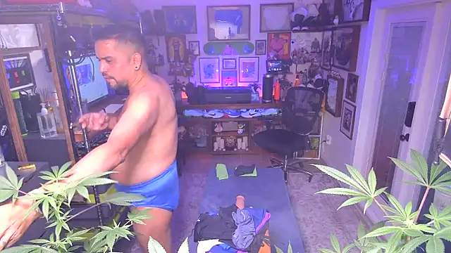 Briefs bud online show from December 2024 03:19:01 AM