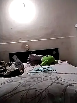 Snapshot of starplss chatting on November 2025 03:07:01 AM starplss online show from November 2025 03:07:01 AM