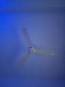 monabhabi22 online show from February 2025 11:32:02 AM