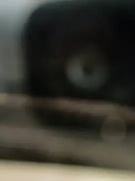 hornydick4you online show from March 2025 10:56:02 AM