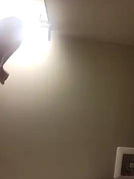 Snapshot of gdawg78 chatting on February 2026 06:48:01 PM gdawg78 online show from February 2026 06:48:01 PM